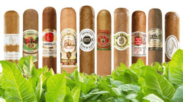 Are villiger cigars good?