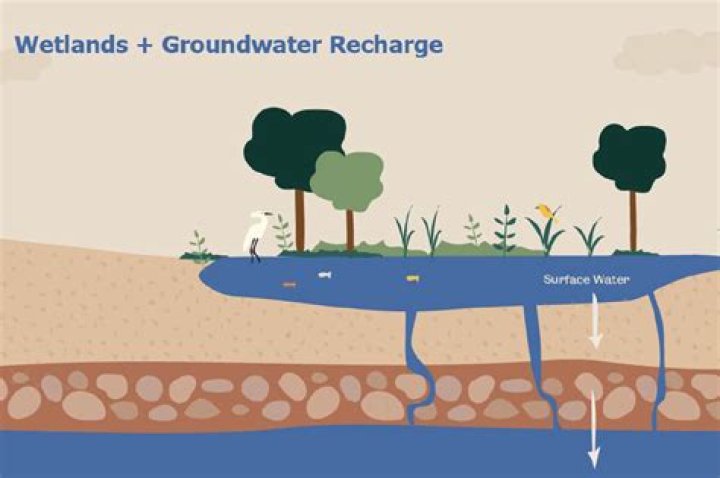Are water resources that are replenished regularly?