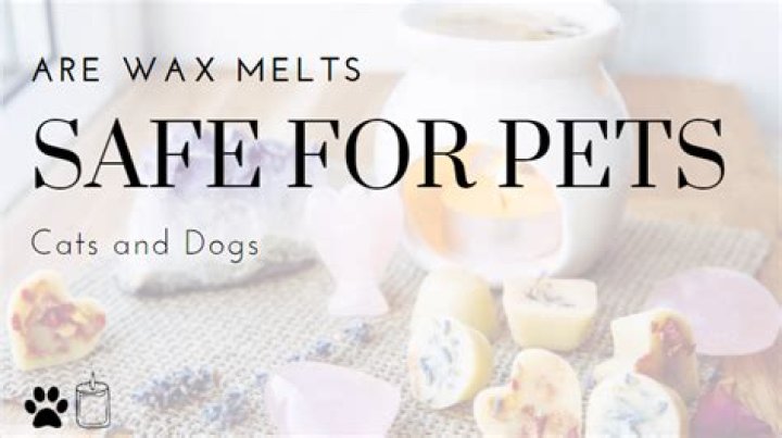 Are wax melts safe for dogs?