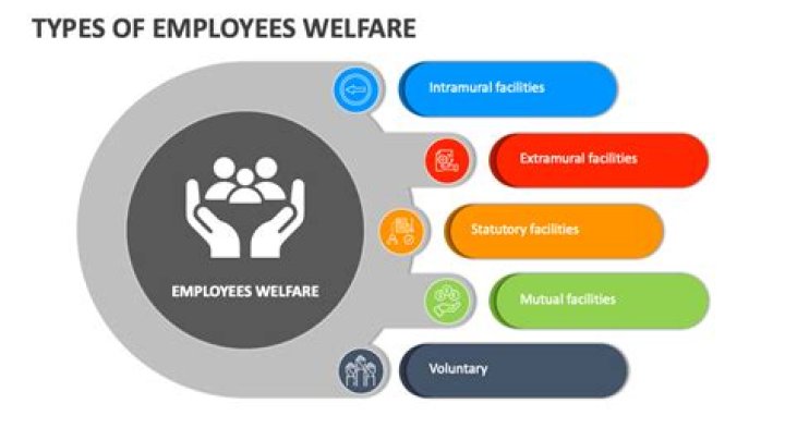 Are welfare programs effective?