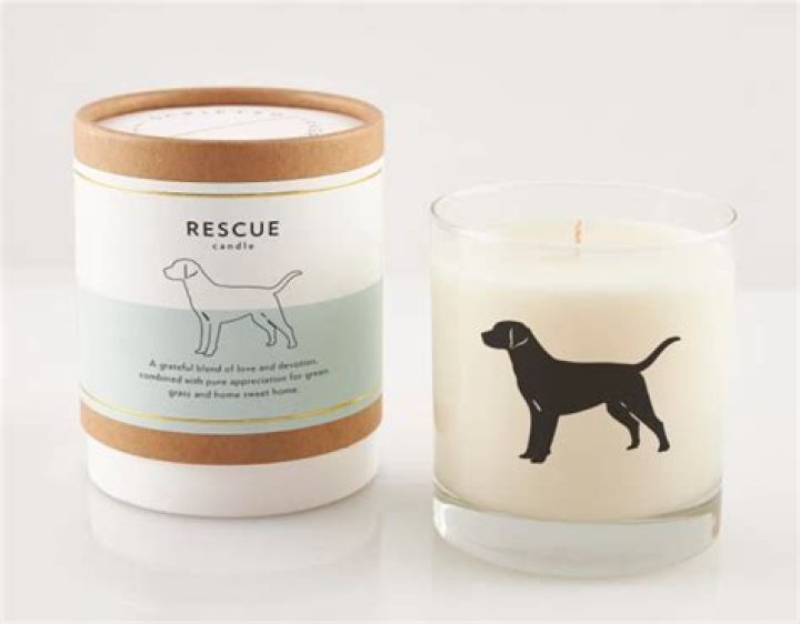Are yankee candles safe for dogs?