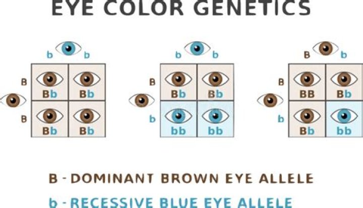 At does genetics mean?