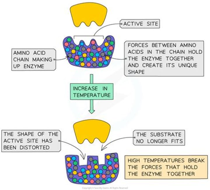 At extremes of ph enzymes are?