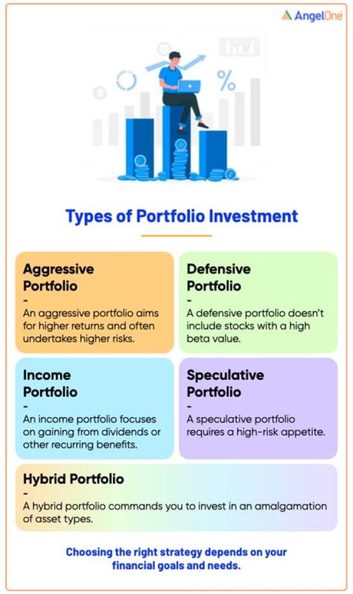 At is portfolio investment?