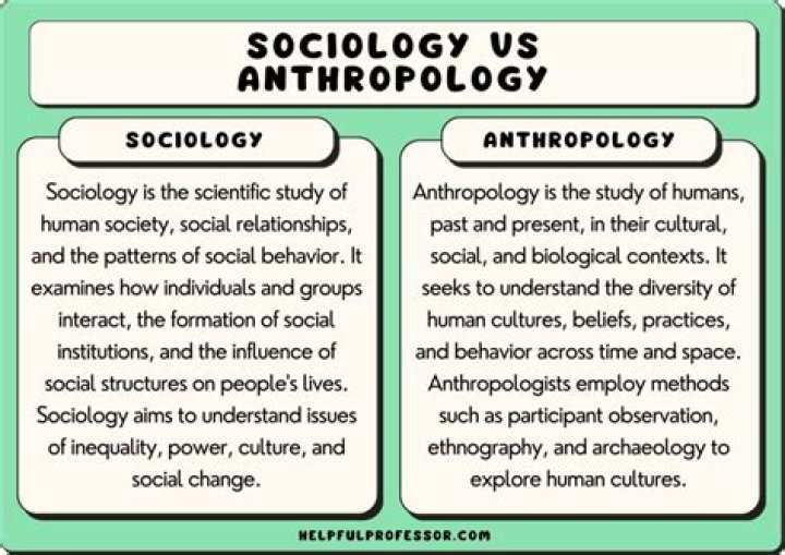 At is the difference between anthropology and sociology?