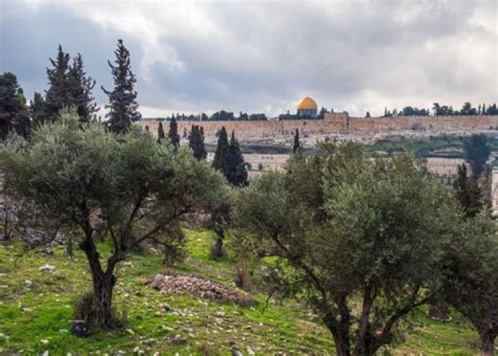 At the mount of olives?