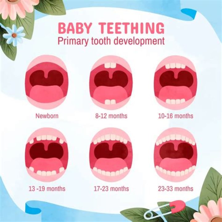 At what month does a baby starts teething?