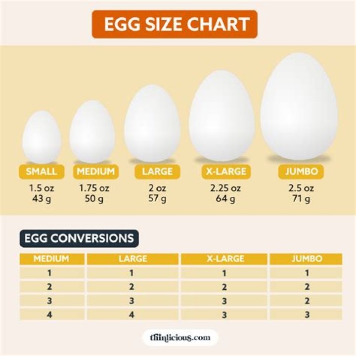At what size egg ruptures?