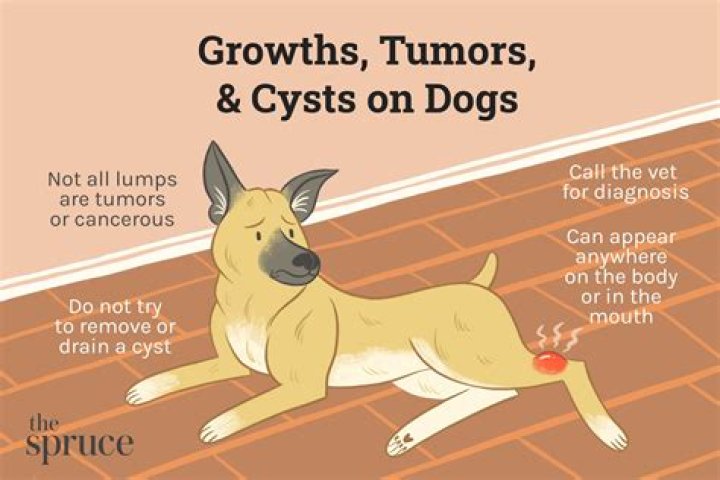 Can a tumor grow overnight?