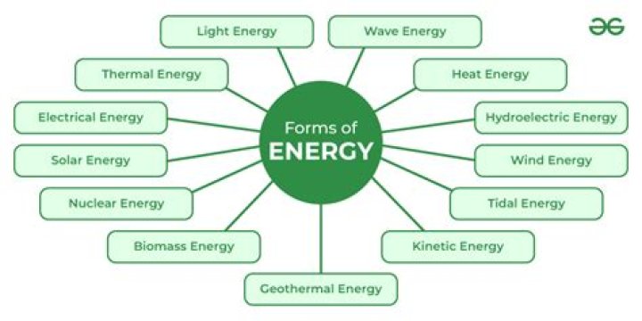 Can all cells interconvert forms of energy?