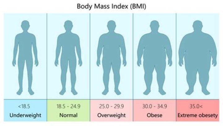 Can anyone become obese?