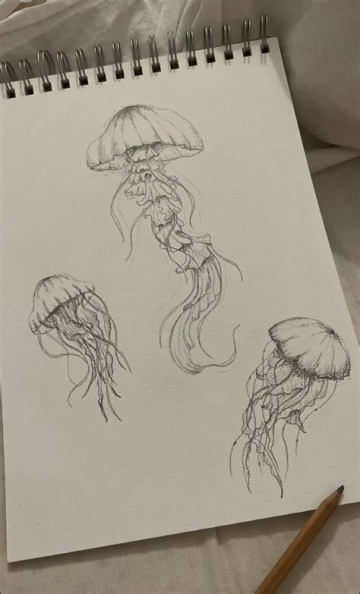Can arduino run multiple sketches?