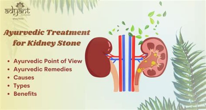 Can ayurvedic medicine damage kidney?