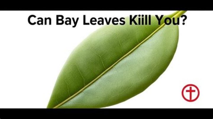 Can bay leaves kill you?