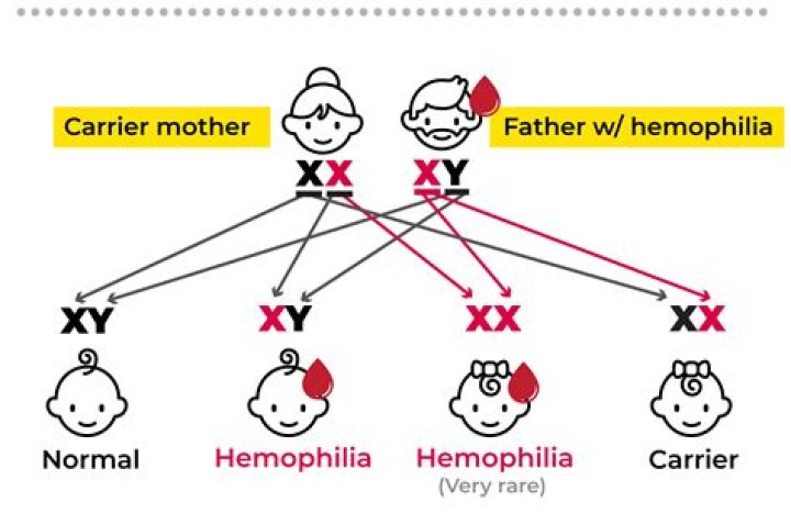 Can behavior be inherited?