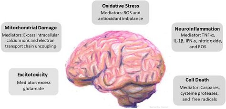 Can boxing cause brain damage?