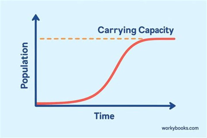 Can carrying capacity be exceeded?