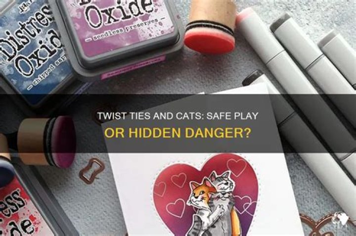 Can cats play with twist ties?