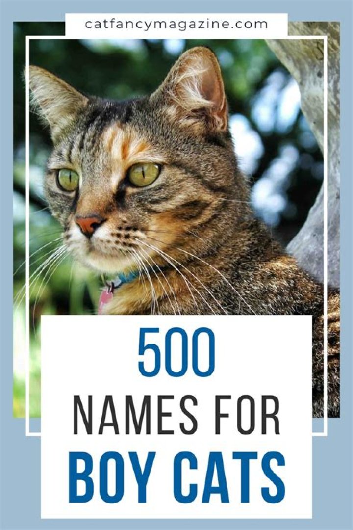 Can charleston be a boy name?