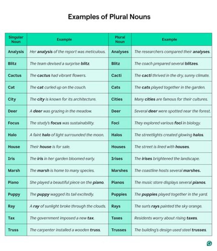 Can classification be plural?
