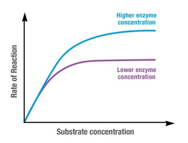 Can concentration be negative chemistry?