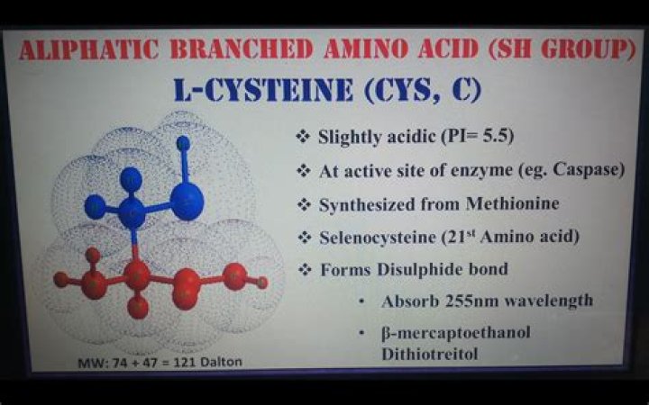 Can cysteine be phosphorylated?