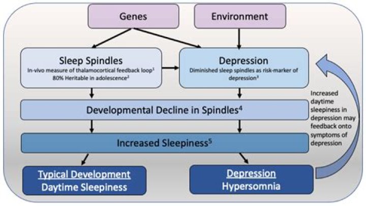 Can depression cause pseudobulbar?