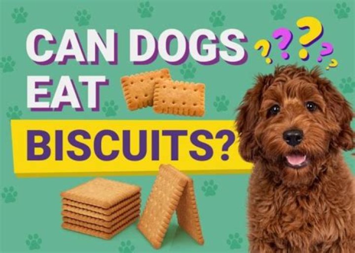 Can dogs eat arnotts biscuits?