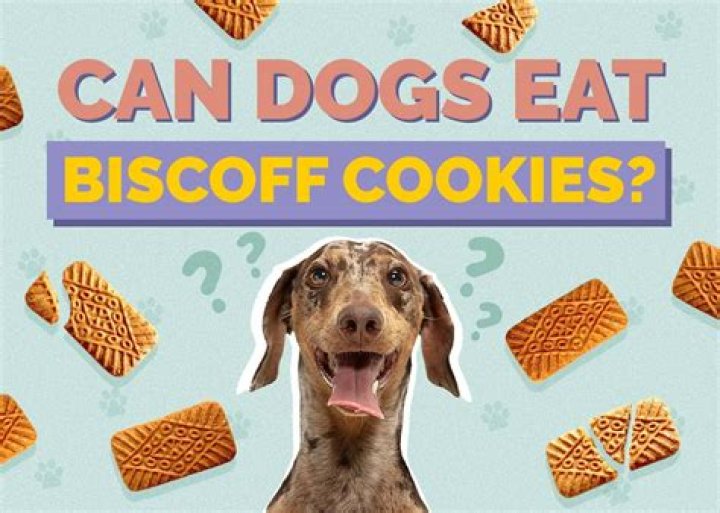 Can dogs eat cookies?