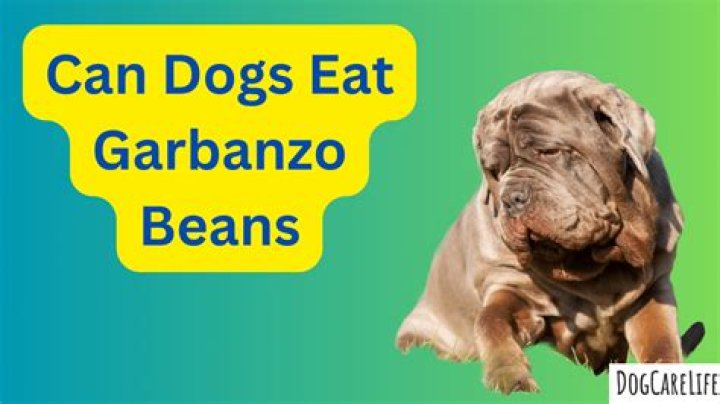 Can dogs eat garbanzo beans?