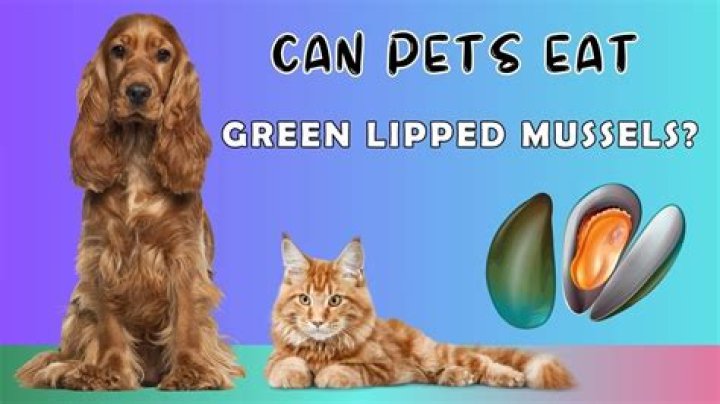 Can dogs eat green lipped mussels?