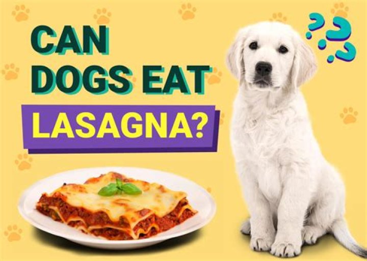Can dogs eat mangetout?