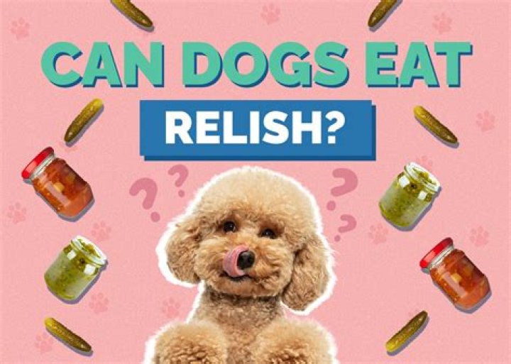 Can dogs eat relish?