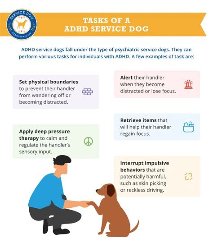 Can dogs have adhd?