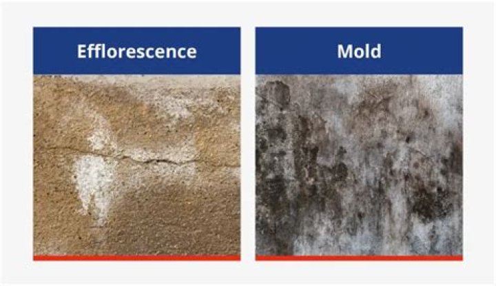 Can efflorescence cause damage?
