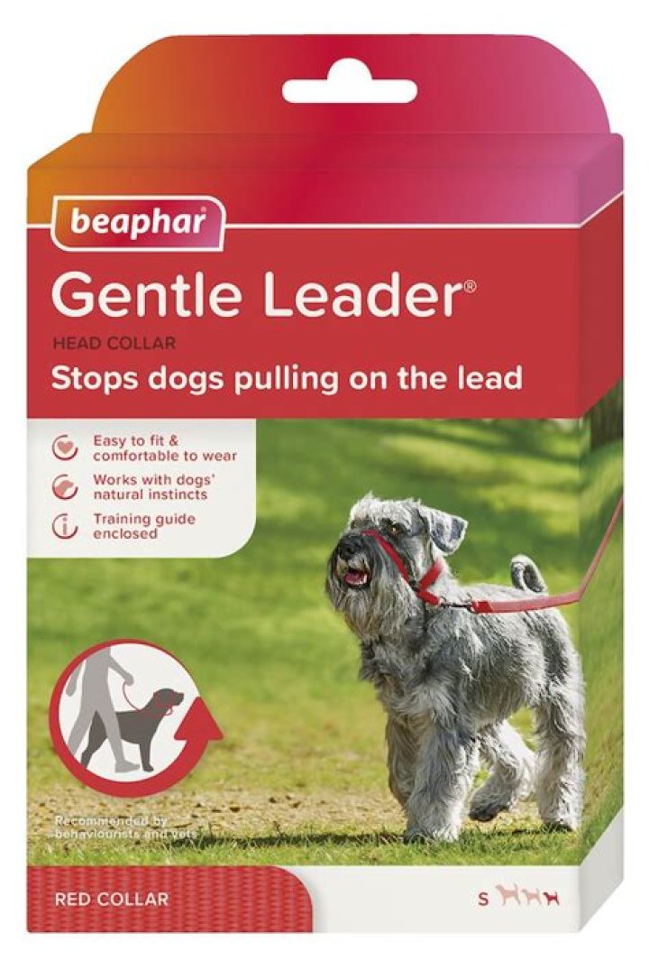 Can gentle leader hurt dog?