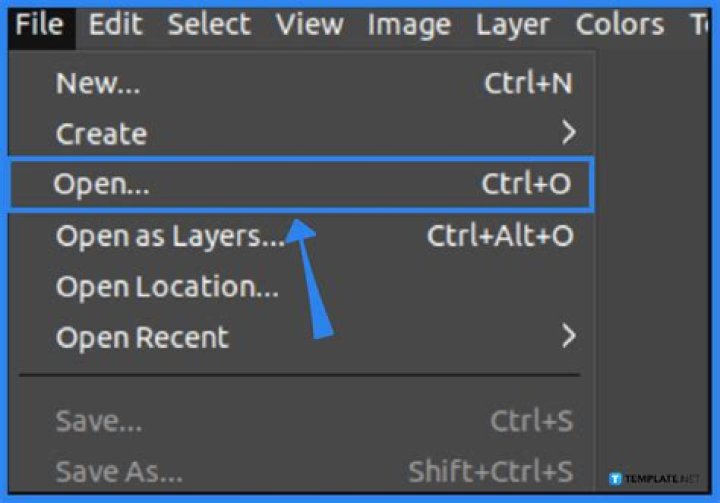 Can gimp open nef files?
