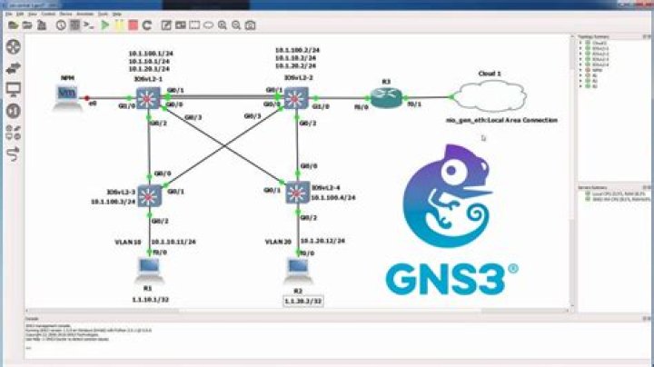 Can gns3 emulate switches?
