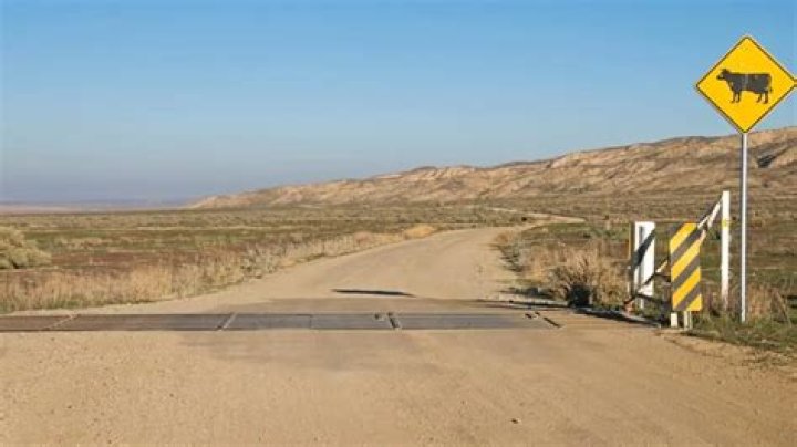 Can goats cross cattle guards?