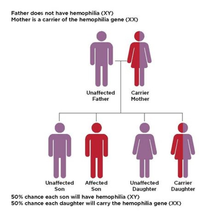 Can haemophilia be inherited?