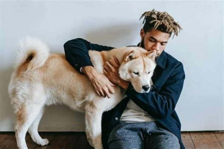 Can humans get kennel?