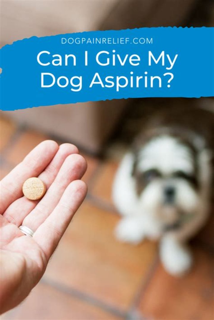 Can i give my dog a melatonin?