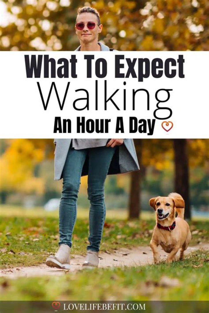 Can i lose weight by walking an hour a day?