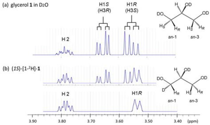 Can i lyophilize dmso?