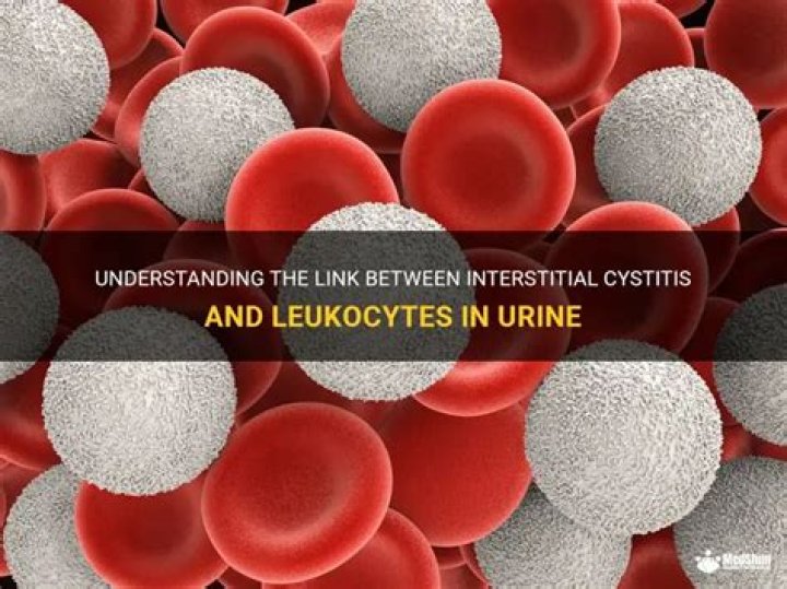 Can interstitial cystitis cause leukocytes in urine?