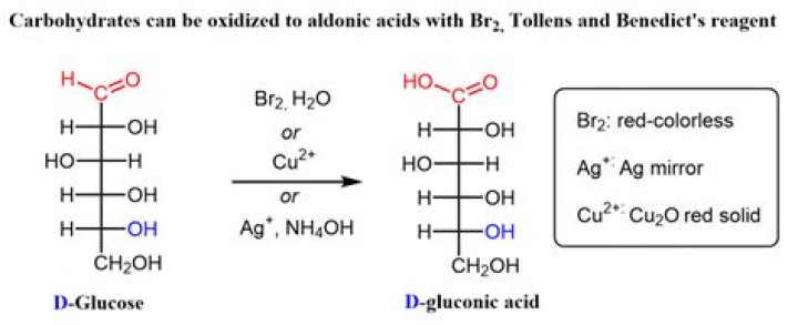 Can ketoses be oxidized?