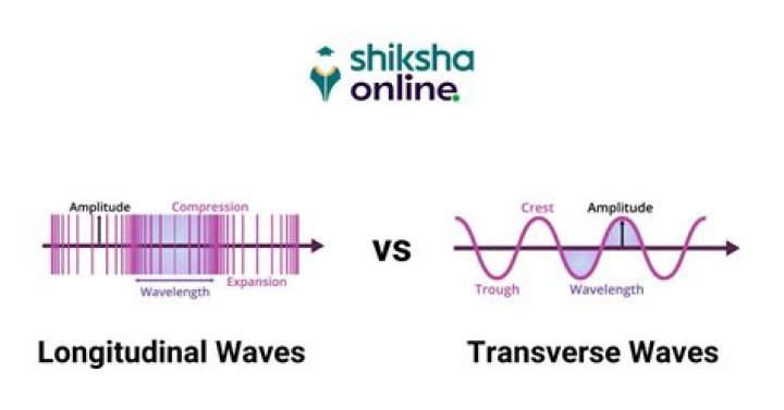Can longitudinal waves have crests?