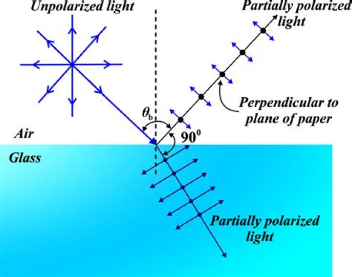 Can monochromatic light be polarized?