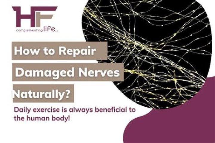 Can neurological damage be repaired?