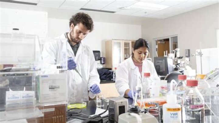 Can pathologists work part time?